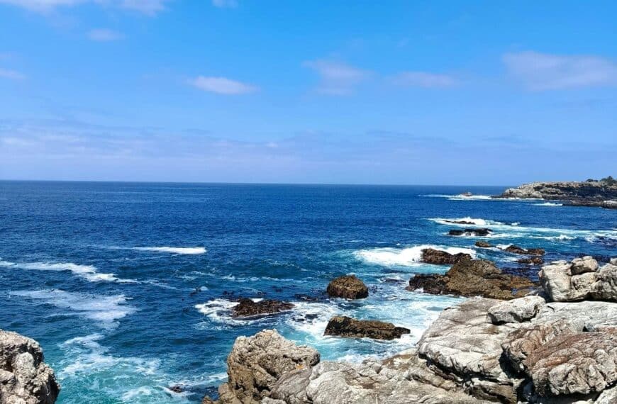 Kustlinjen vid Hermanus