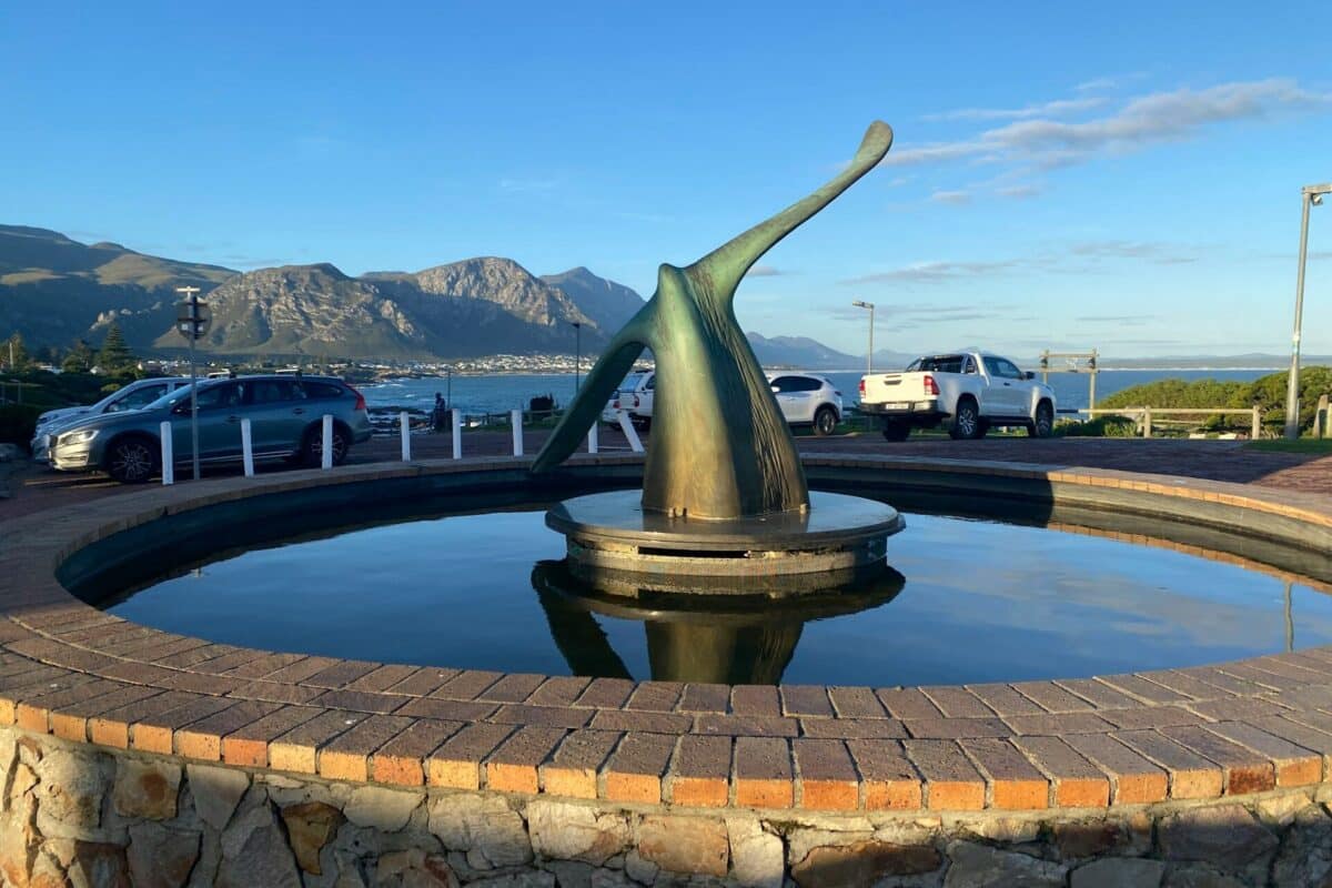 Hermanus