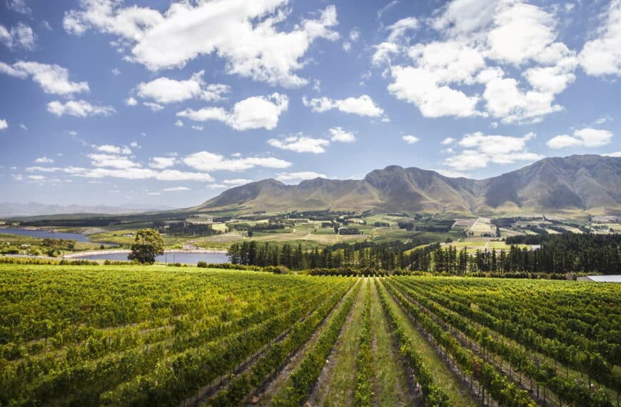 Hemel-en-Aarde vinregion i Hermanus med vingårdar och berg