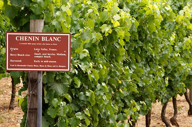 Chenin Blanc